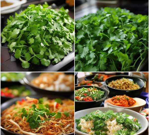 香菜的百变风味，揭秘香菜的多重吃法